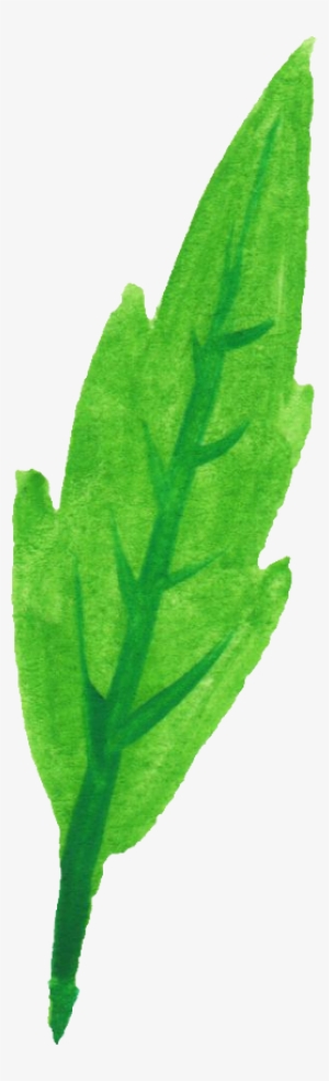 Free Download - Common Sage