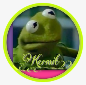Angery Kermit