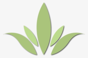 Logo Agave Png