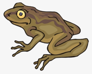 Free Frog Toad - Toad Clipart