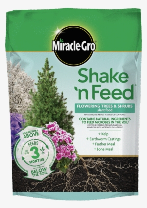 Feed Flowering Trees And Shrubs - Miracle Grow Fertilizer