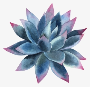 All The Boys I Loved Before Iphone