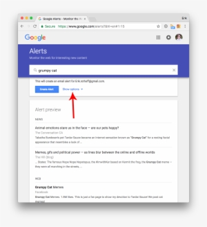 Before Pressing “create Alert” Press “show Options” - Google Alerts