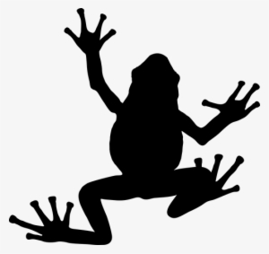 Frog Vector Tribal - Frog Silhouette
