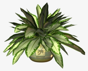 Pot Plant Clipart Botany - Clip Art