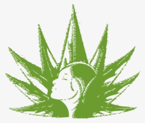 The Equally Interesting Scientific Explanation For - Mayahuel Logo