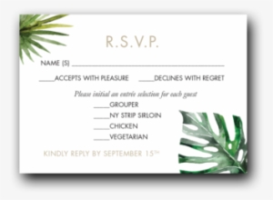 Tropical Palms - Agave