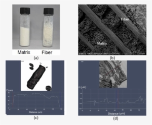 Separated Material Of Agave On Its Components Of Matrix - Wood