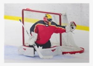 Goalie Catches The Puck Poster • Pixers® • We Live