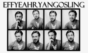 Everyone Needs Some Gosling In Their Life - Home