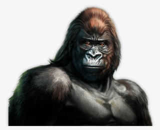Gorilla™