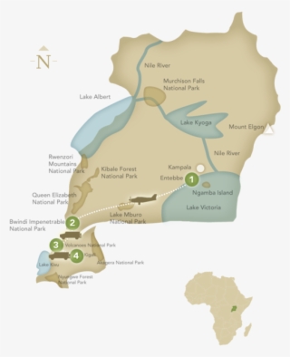 Magical Encounters With Mountain Gorillas Are The Center