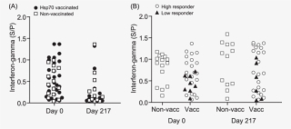 Hsp70 Vaccination Does Not Induce Ifn-responses After