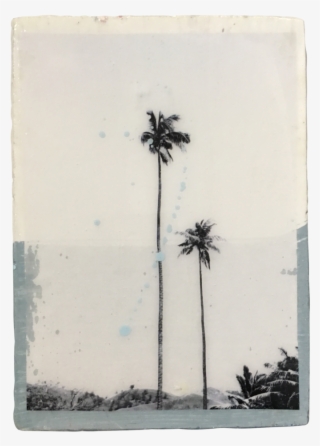 Mini Tile Fiji Palms