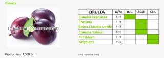 Calendario De Cosechas