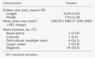 Characteristics Of The Kidneys And Stones