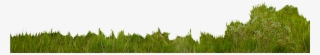 Landscape - Photographer - Grass