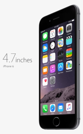 Top Rated Products