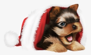 Vous Trouverez De Belles Images Pour Vos Blogs