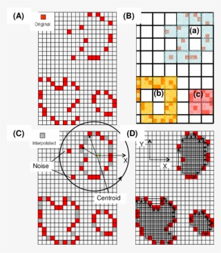 Generation Of The Exterior Surface Contours Of The