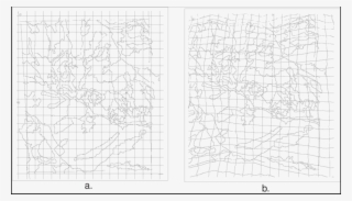 Overlay And Grid After Orthorectification Showing The