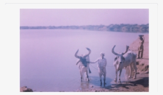 Bhumbhali Pond -