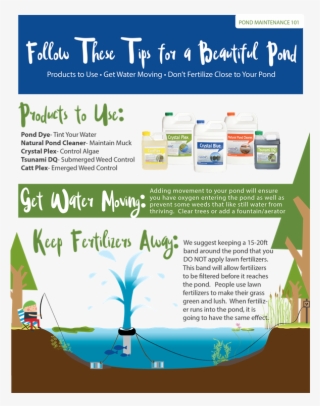 Pond Maintenance 101-outside Factors