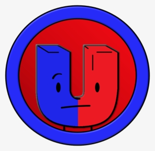 Vector Magnet Red Blue