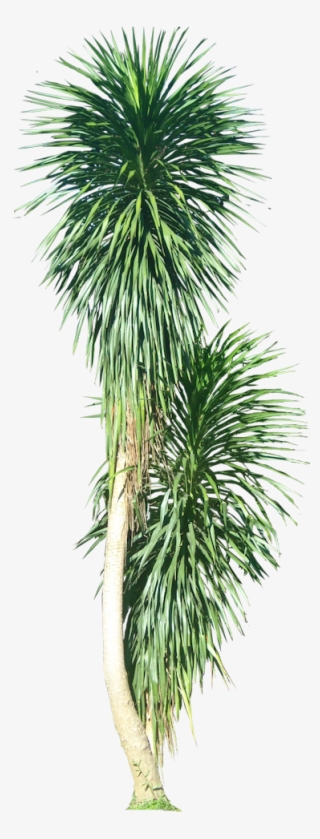 Tree Psd, Tree Photoshop, Tree Sketches, Landscape