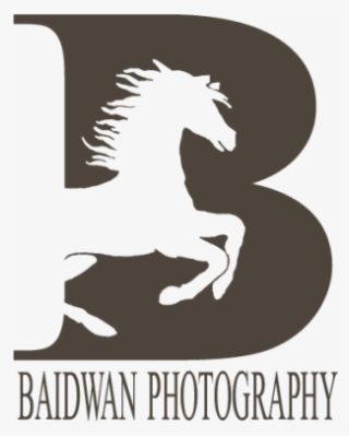 Do Logo Designing For Your Website, Business Or Youtube