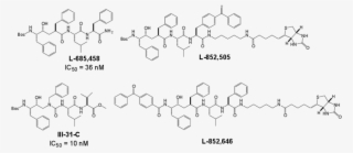 Structures Of The Active Site Directed Secretase Inhibitor