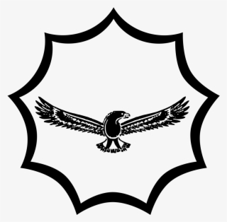 South African Air Force Roundel