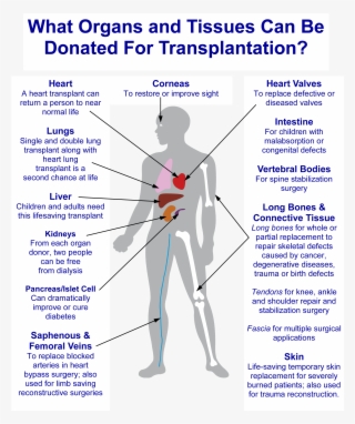 Donation Diagram