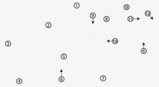 Right Chest Cavity After Removal Of The Lungs