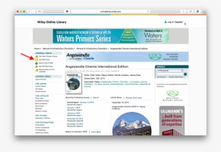 Website With Rss Feed Link Indicated