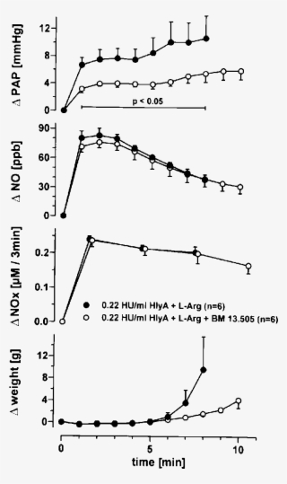 Influence Of The Thromboxane Receptor Antagonist Bm