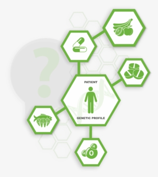 What Is Healthy Weight Infographic