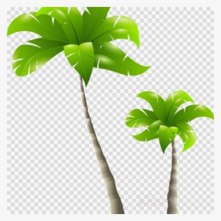 Free Palm Tree Png Clipart Palm Trees Clip Art
