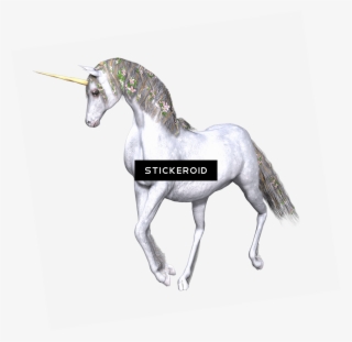 Full White Unicorn