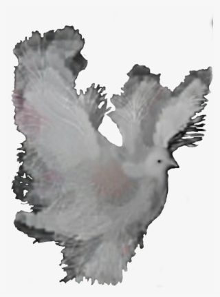 This Free Icons Png Design Of Dove Fantasy Artiste