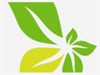 Green Leaf Icon