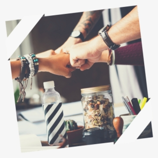 And Signature Courses Where I Walk You Step By Step