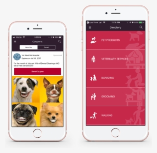 Pet Vibe Coupon & Thing