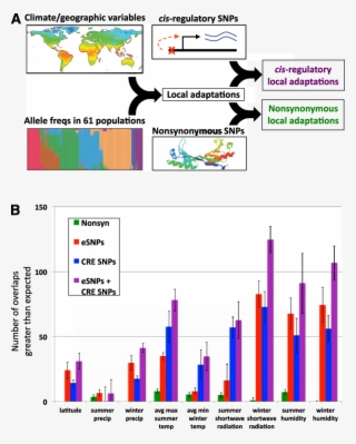 Outline Of The Data Sets Integrated To Identify Putative