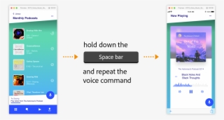 Preview Transition With A Voice Command