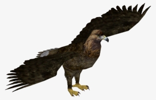 Giant Eagle