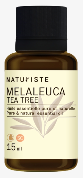 Huile Essentielle De Melaleuca
