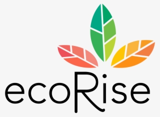 Bny Mellon Partners With Ecorise To Support Sustainability
