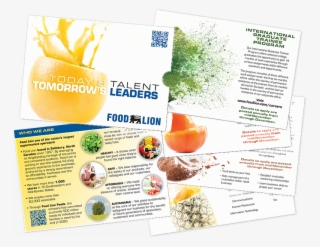 Recruitmentgallery Foodlion Sleevebrochure