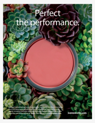 Aerial View Of Orange Paint Lid On A Bed Of Succulents